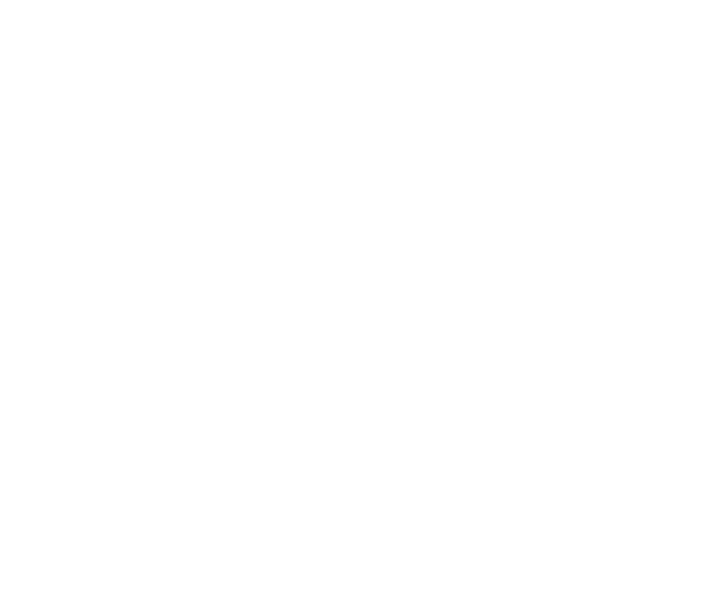 Logo Carnivor